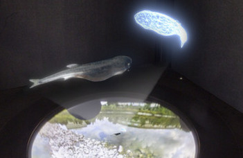 In VR school, fish teach robots